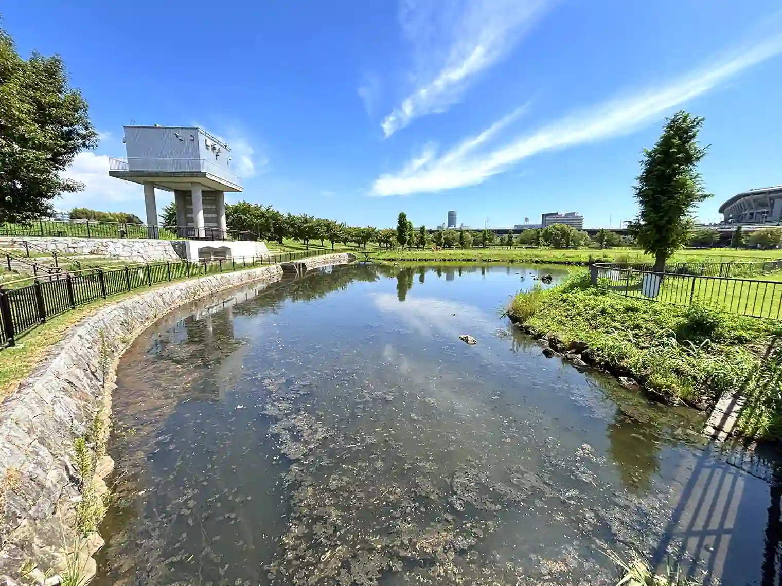遊水地