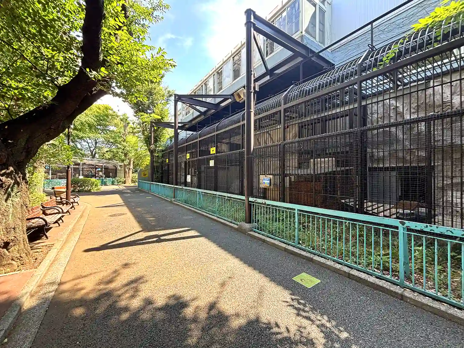 野毛山動物園内