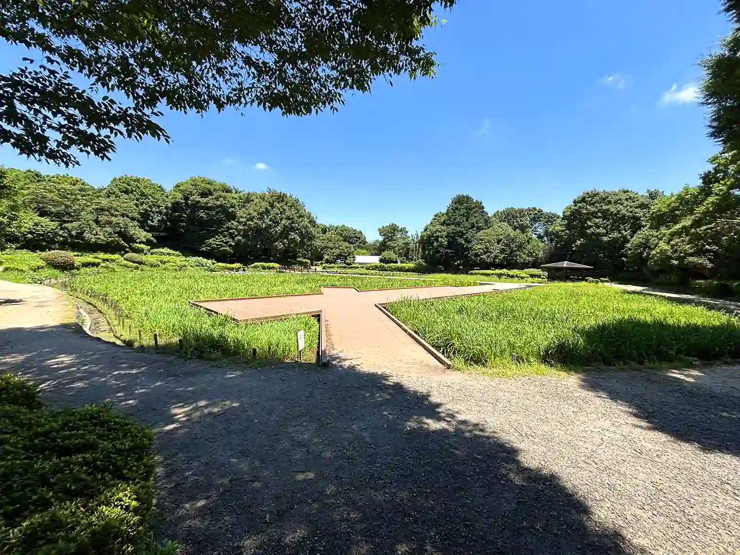 水無月園（花しょうぶ園）