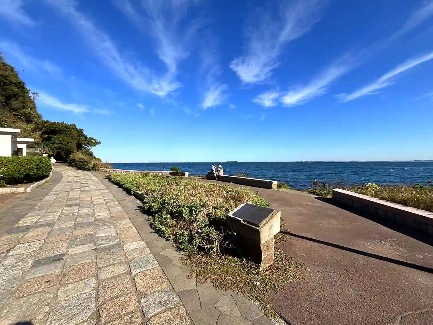 海岸園地の遊歩道