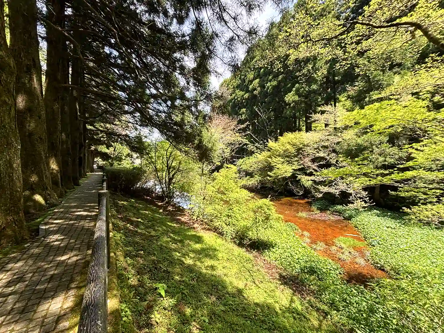藤棚広場へ向かう遊歩道