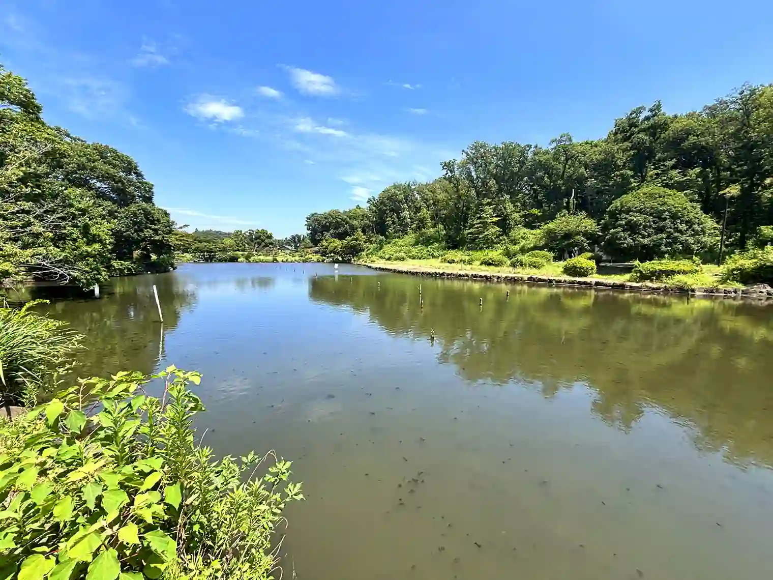 大池