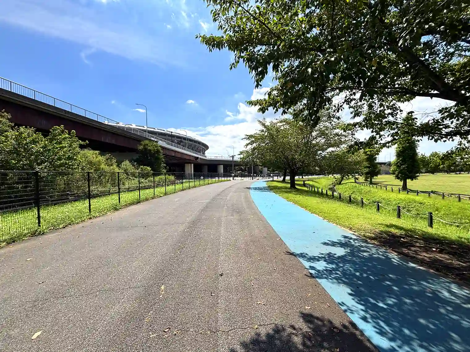 公園内遊歩道