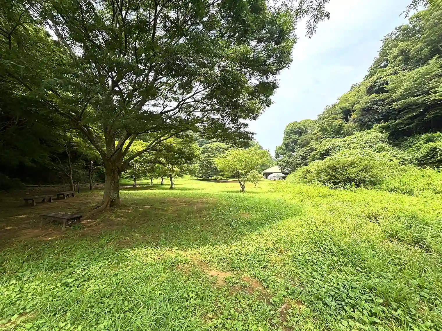 野外生活体験広場
