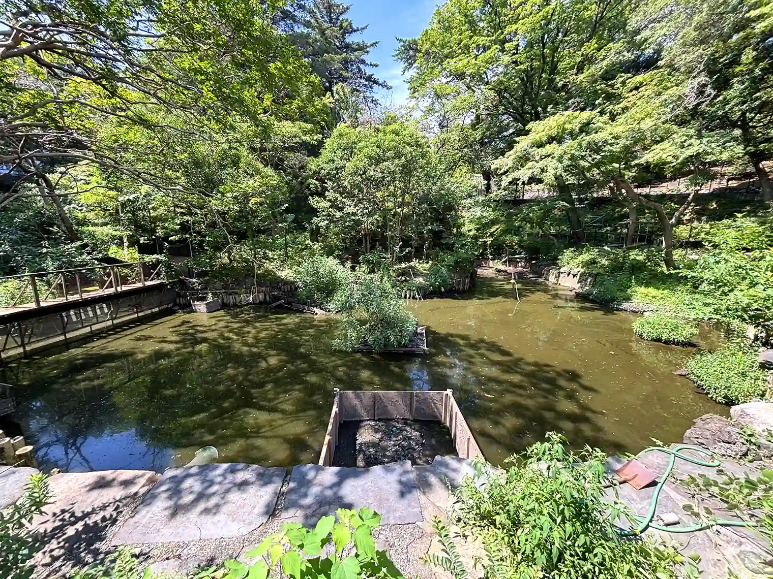 大池