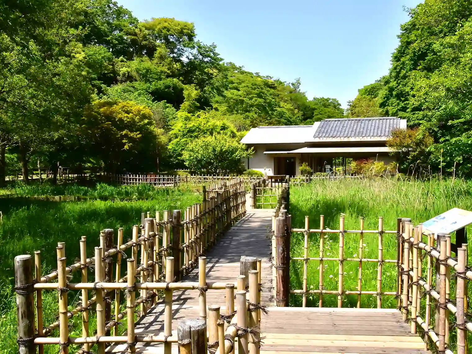 湿生花園