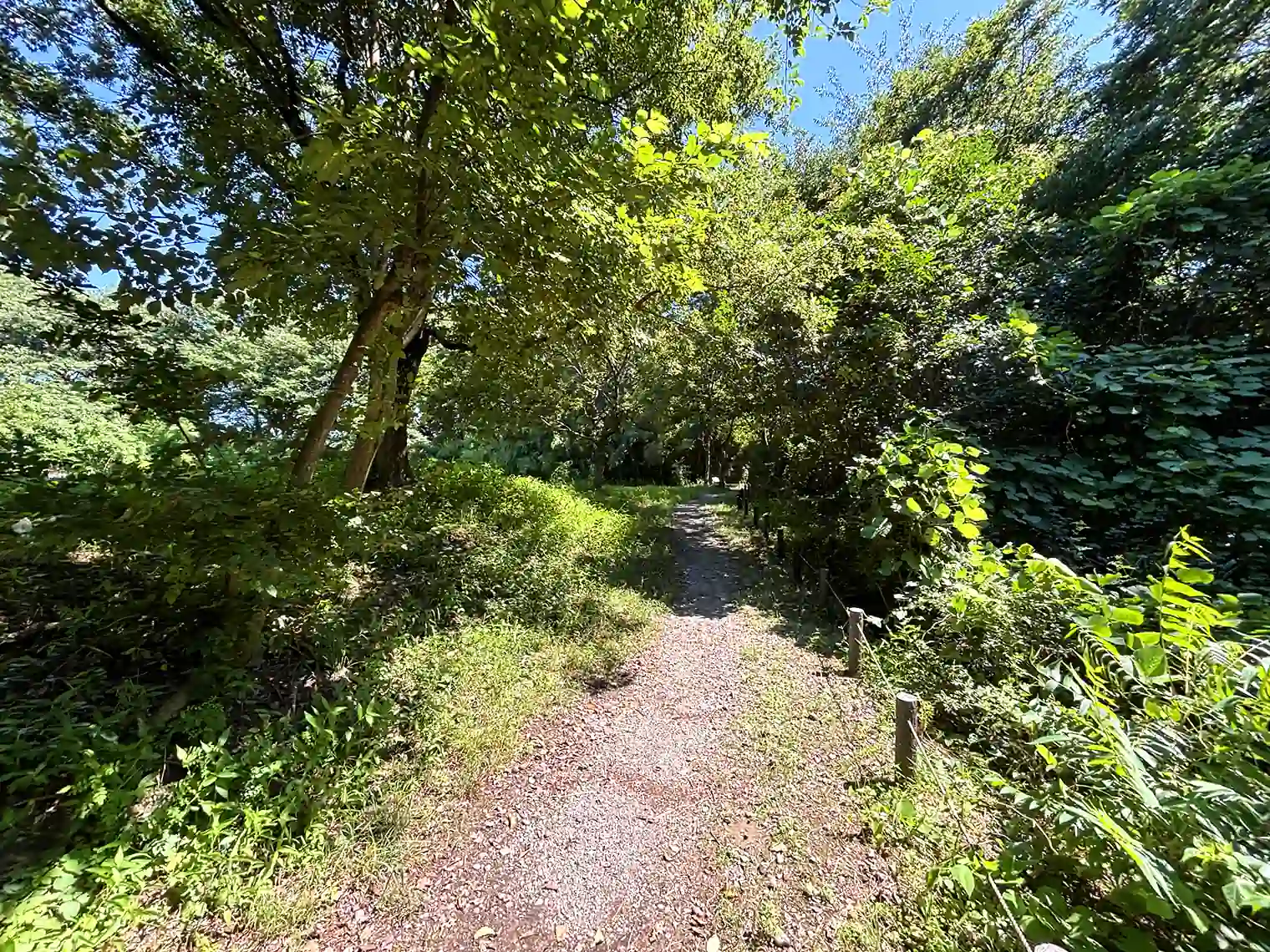 自然観察園入口