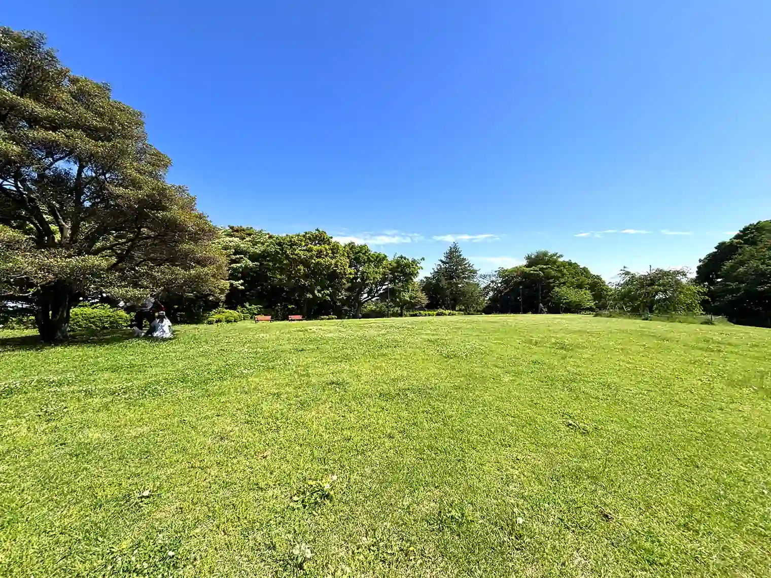 草地広場
