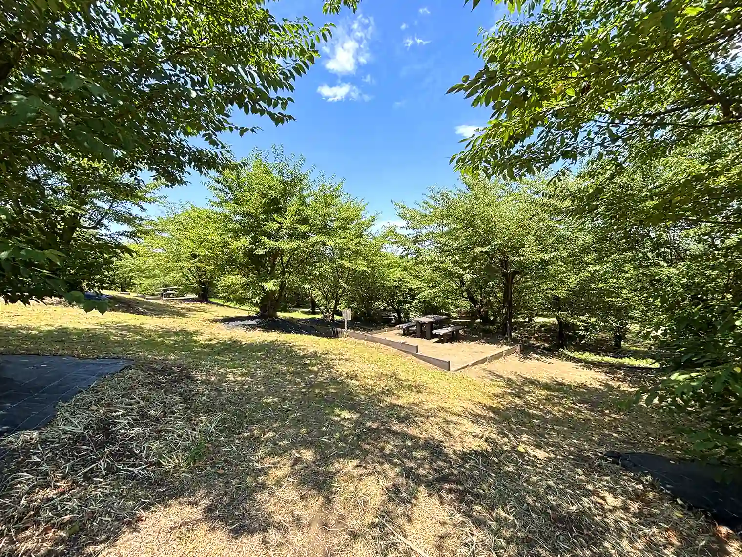 べーべキュー広場