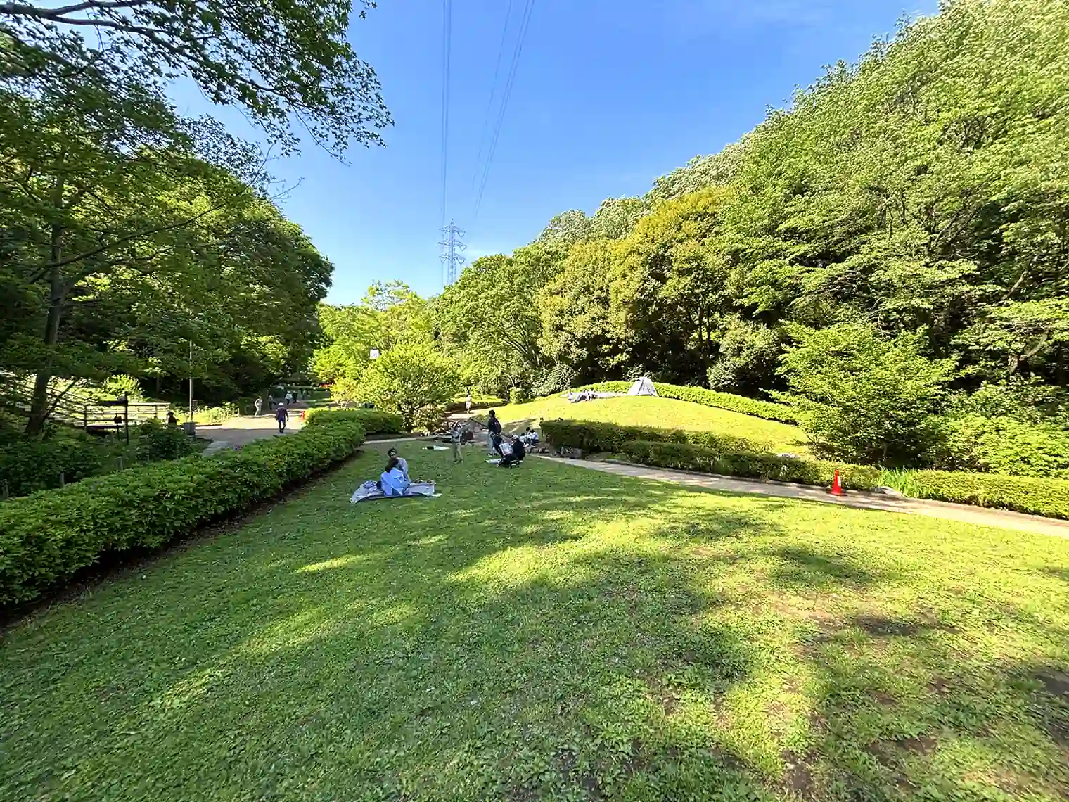 ケヤキ広場