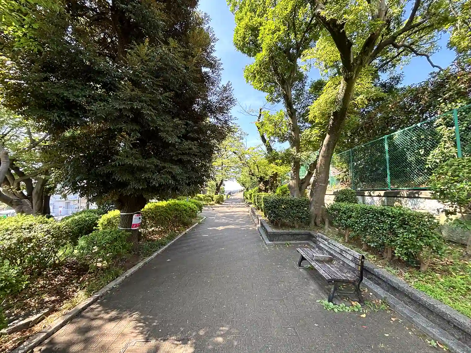 遊歩道（展望地区）