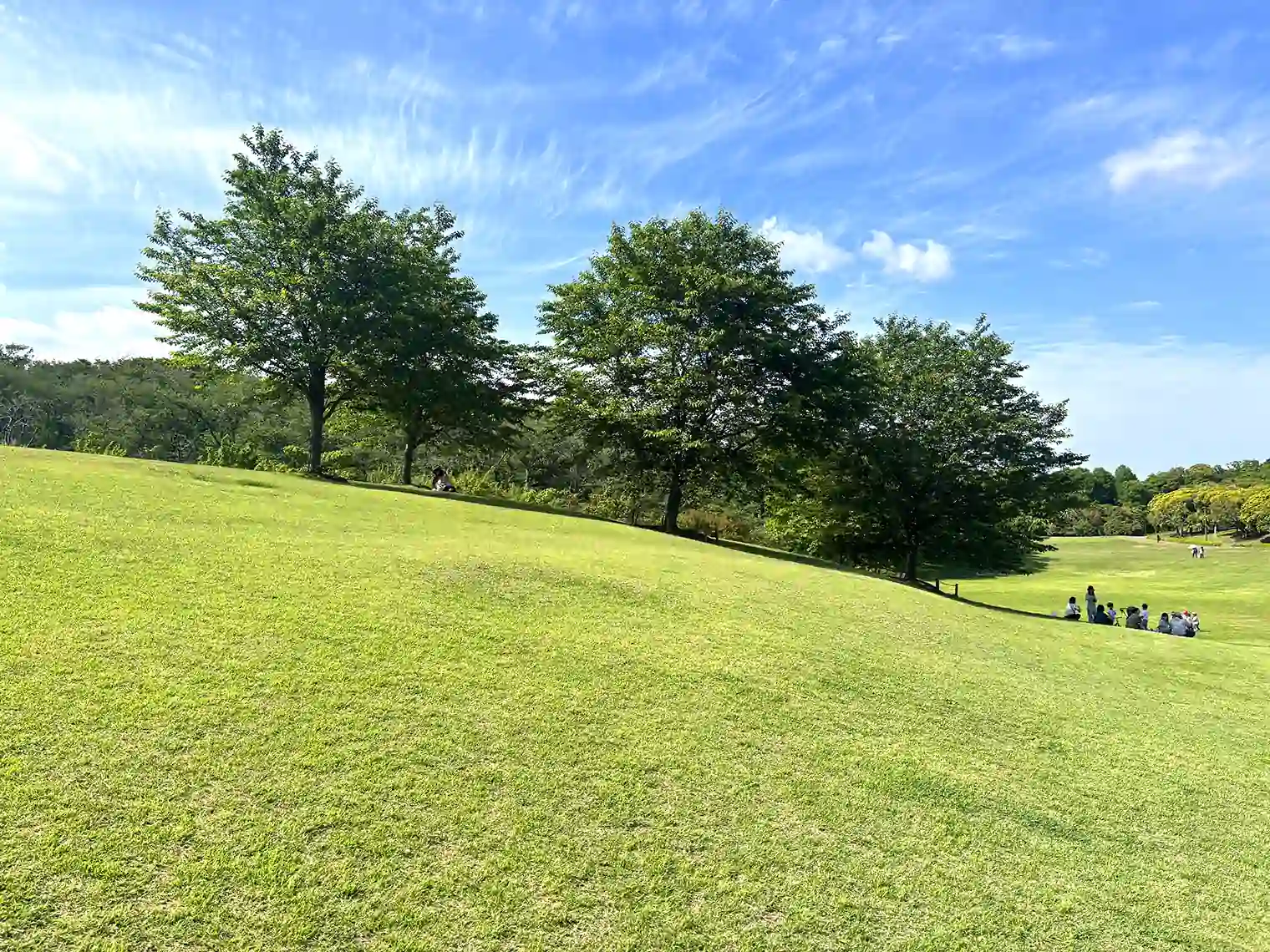 芝生広場