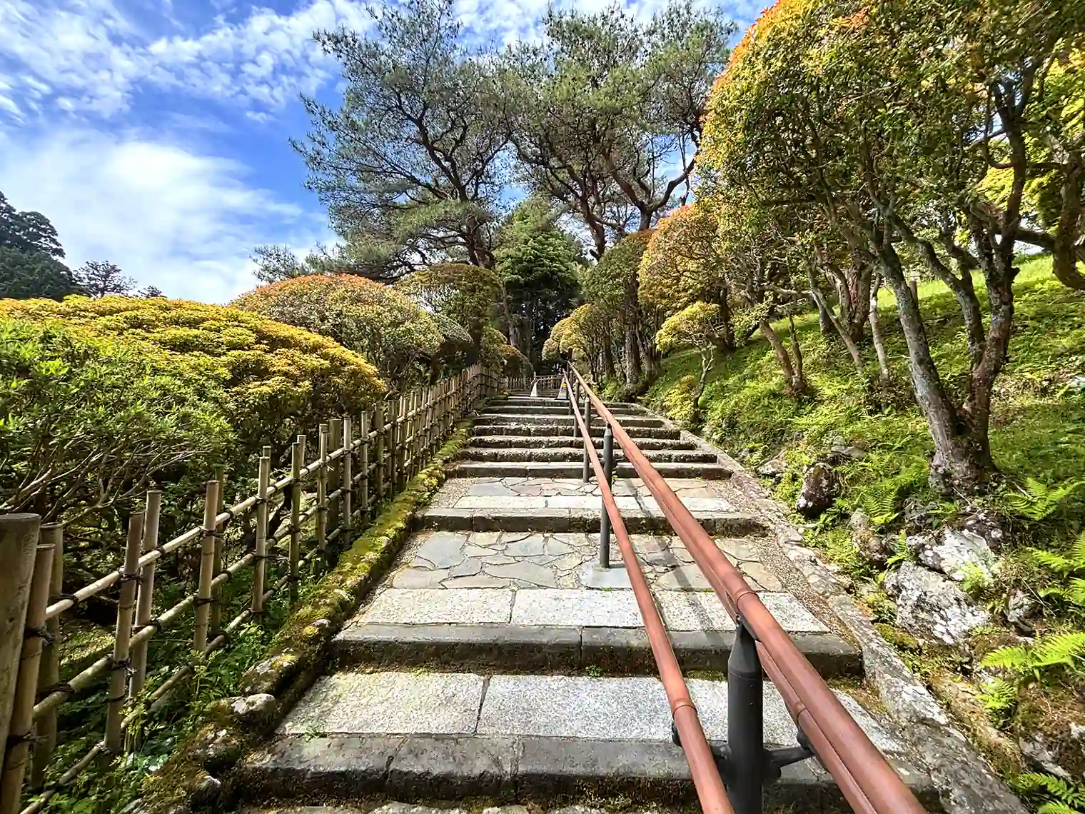 中央園路