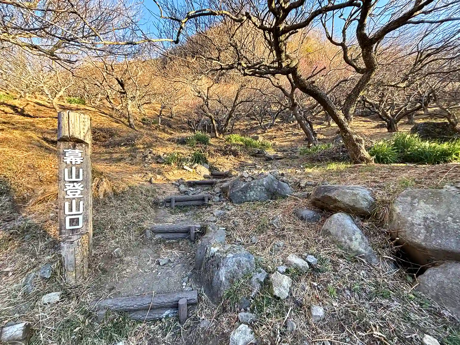 幕山登山口