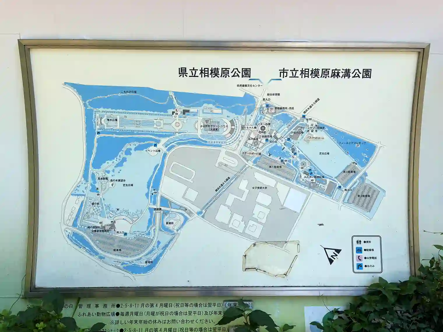 相模原麻溝公園マップ