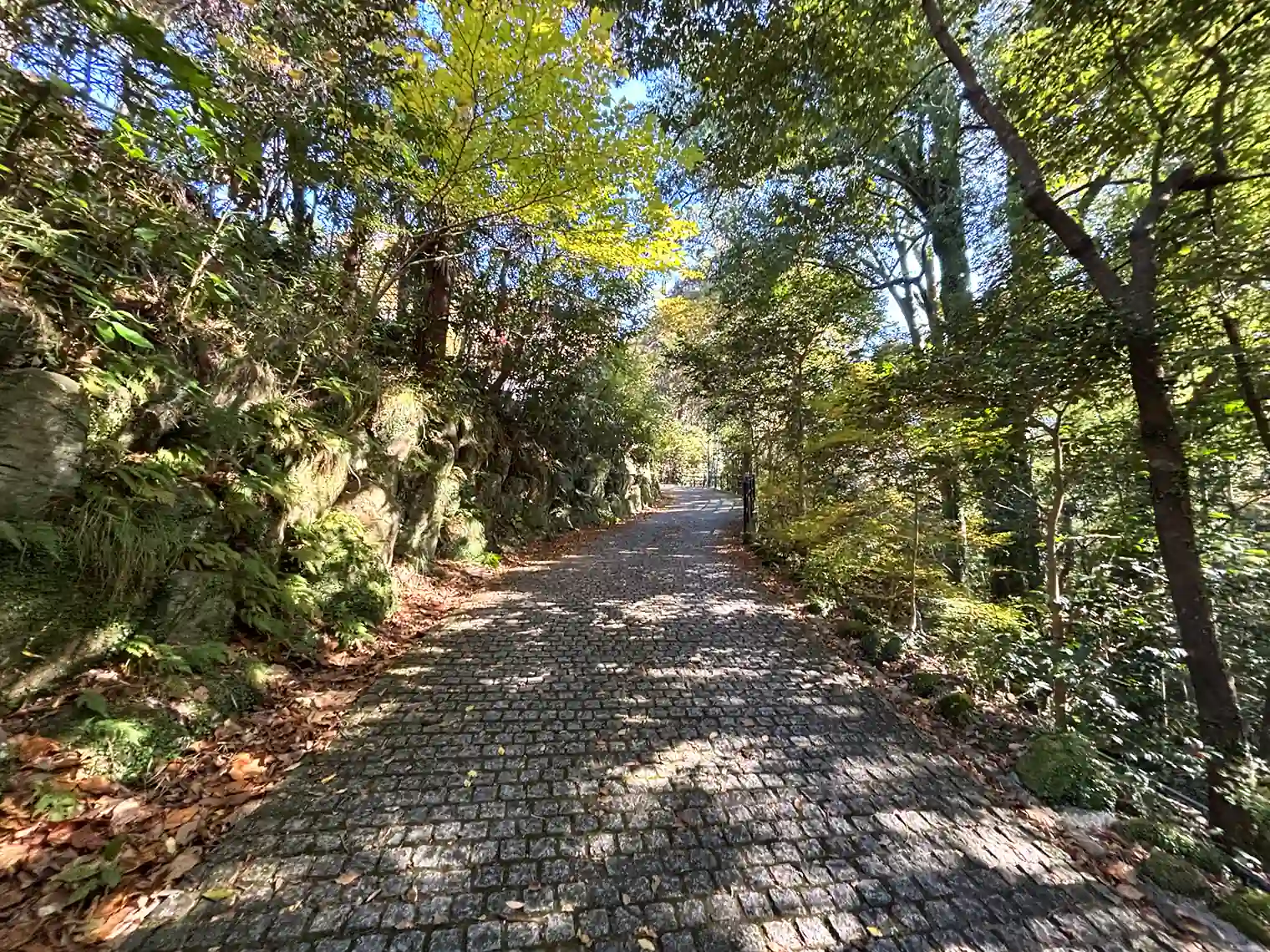 石畳の散策路