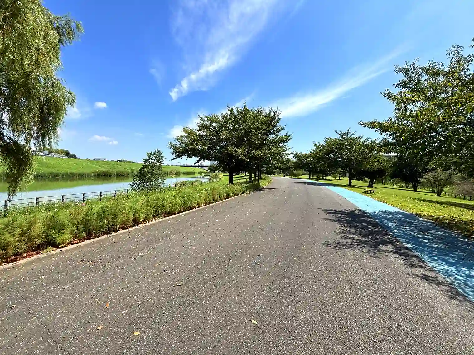 公園内遊歩道