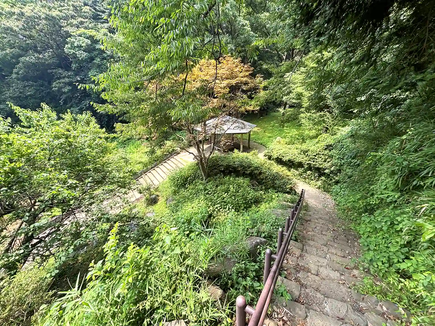 庭園植物園上の山道