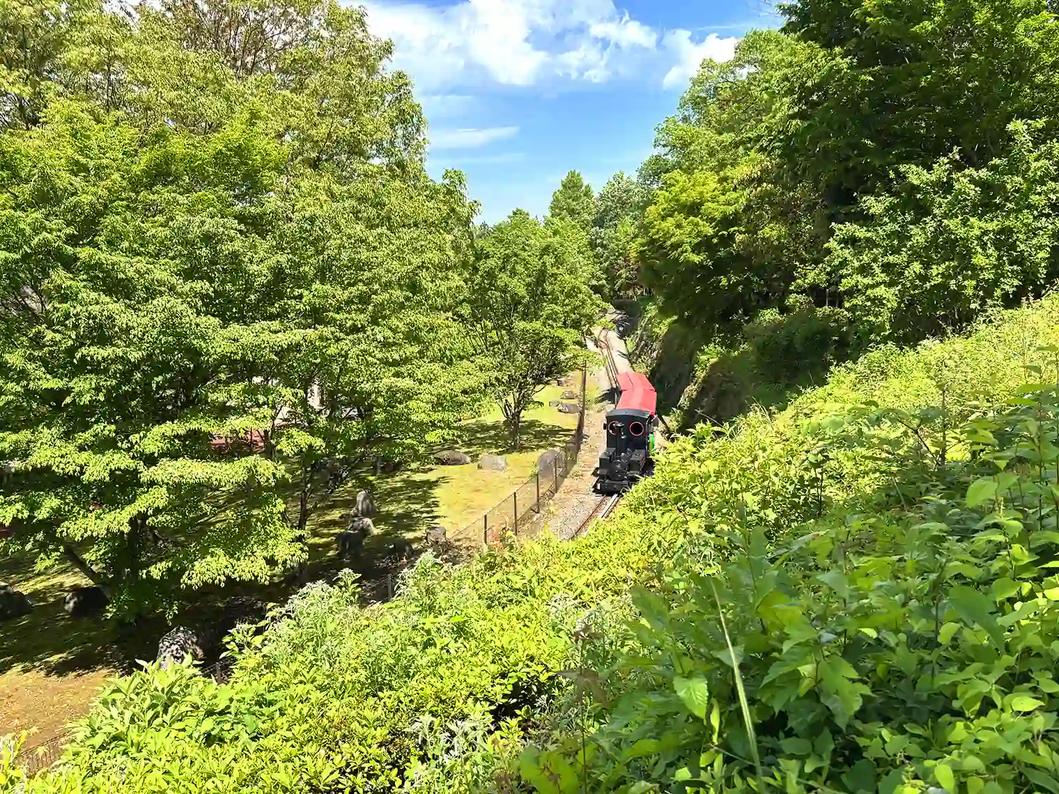 上から見たこども列車