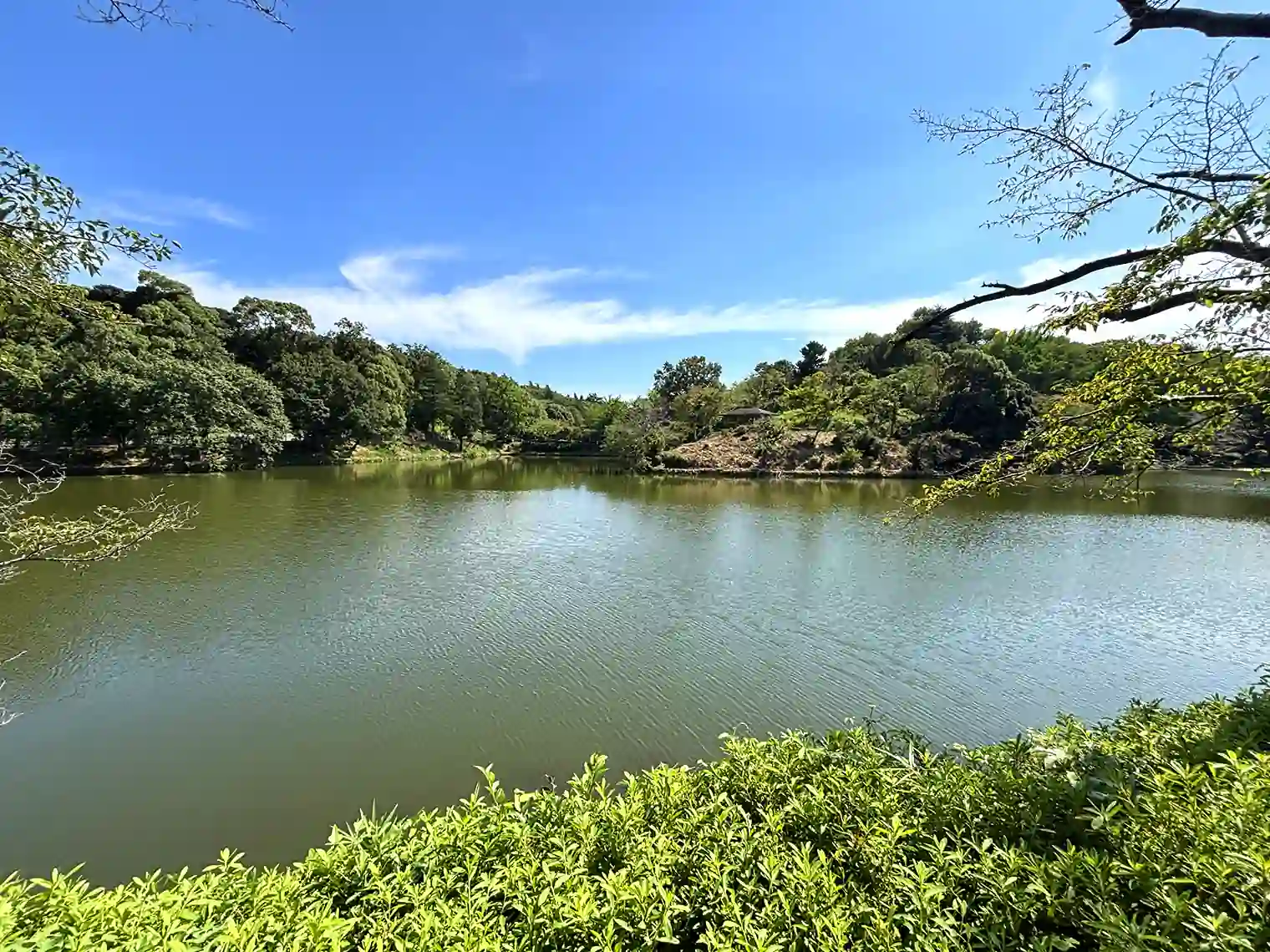 中の池