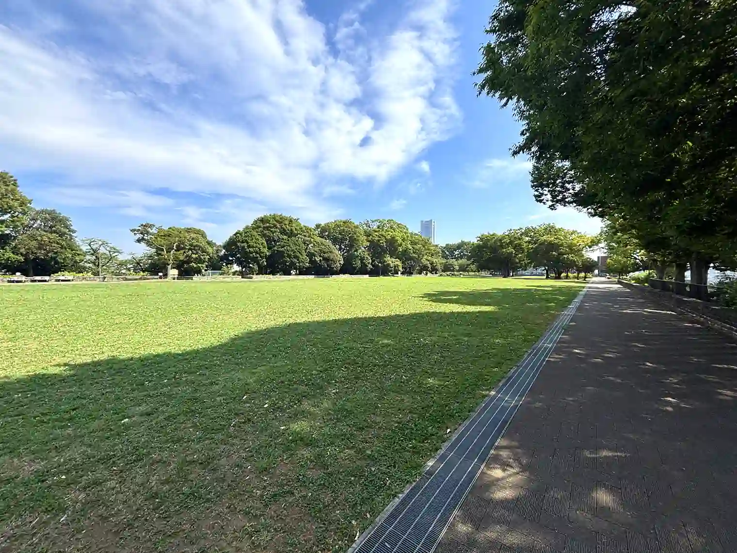 大芝生広場（展望地区）